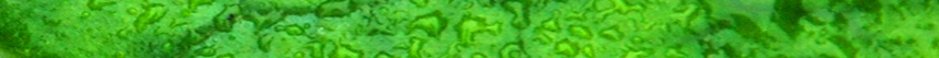 hjcl green footer